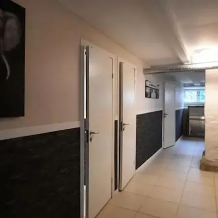Cheap And Very Basement - Vindegade 53f شقة أودنسه
